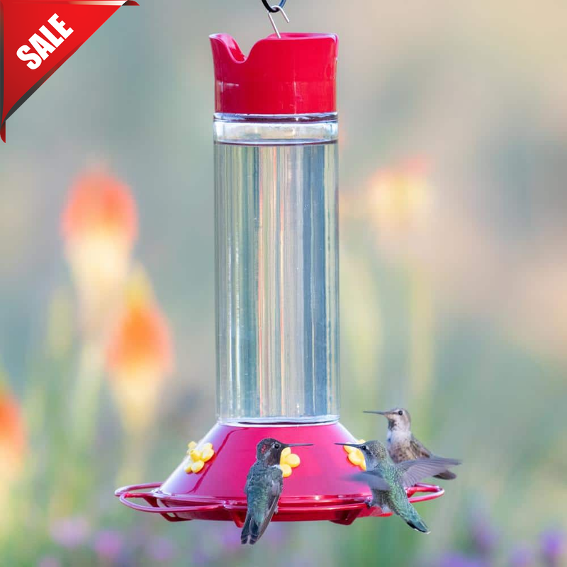 Wide Mouth Best Perky Pet 30 Oz. Capacity Red