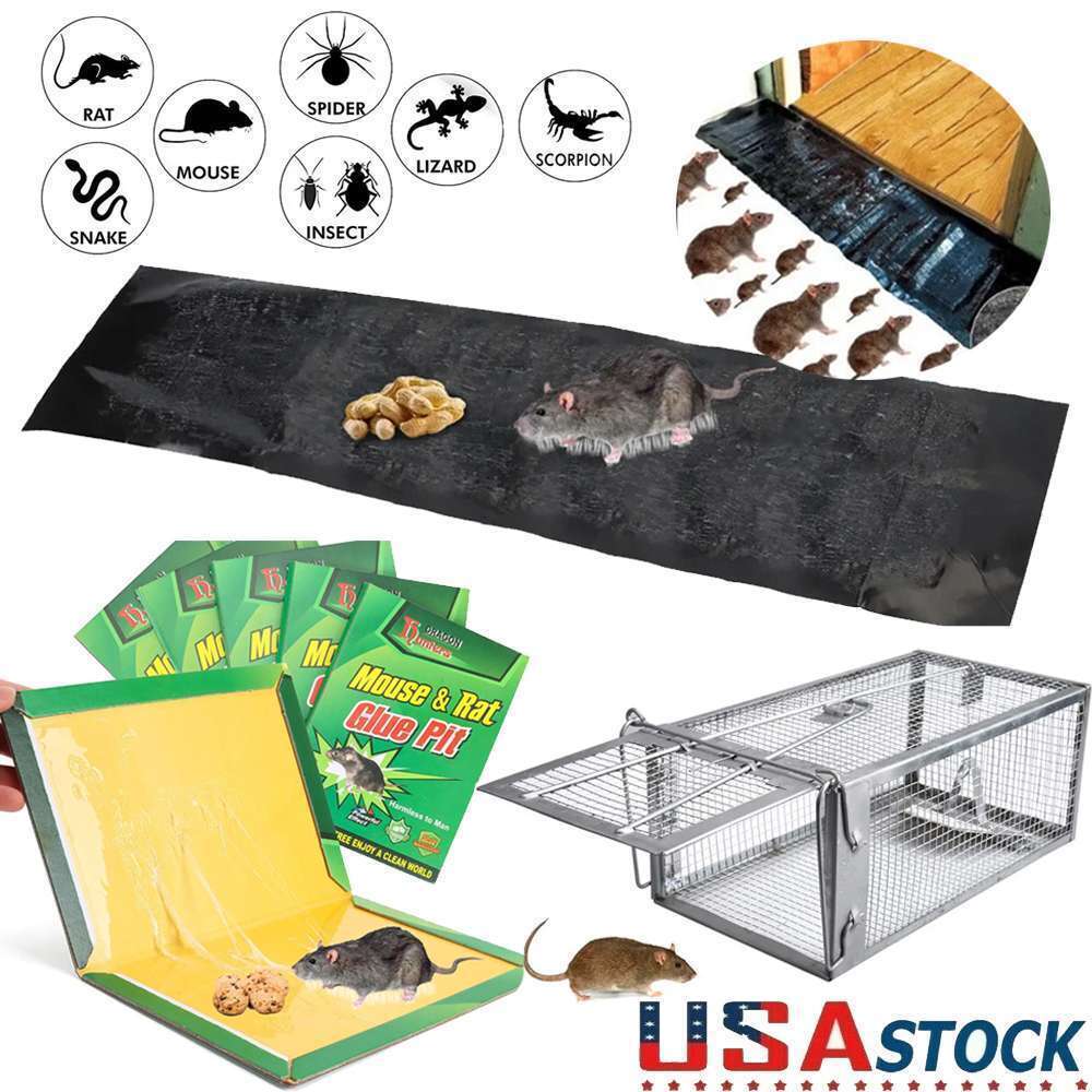 Mouse Trap Rat Rodent Trap Live Catch Cage Glue Board Mice Indoor Sticker Catch