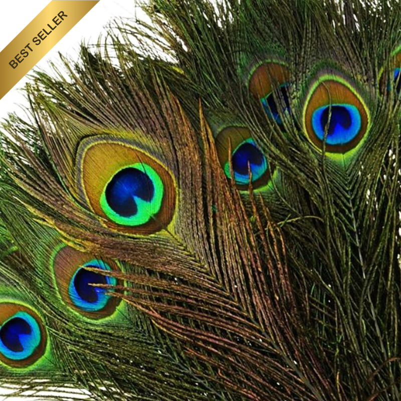 100Pcs Natural Peacock Feathers with Eye Peacock Tail Feathers 10-12Inch (25-30C