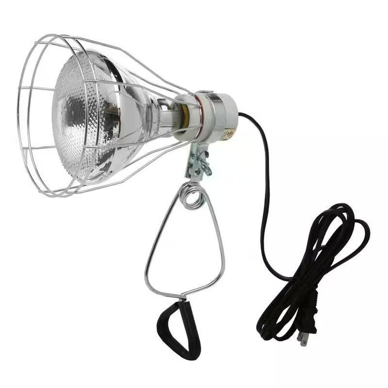 Clamp Work Light 150W Incandescent 6 ft Cord Metal Guard Garage Shop Portable