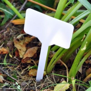 markers plant garden labels plastic tags pack bed seeds plants name