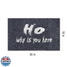 Assaoy Funny Door Mat,Ho Why is You here Black Doormats,Funny Floor Embroidered Welcome Outdoor Door Mat Entrance with Rubber Backing Rugs Indoor Outdoor Home Decorative Easy to Clean 30”x18”