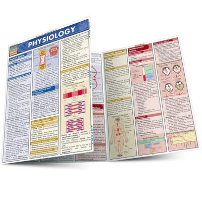 New PHYSIOLOGY Quick Study ACADEMIC PAMPHLET Laminated Reference Guide BarCharts