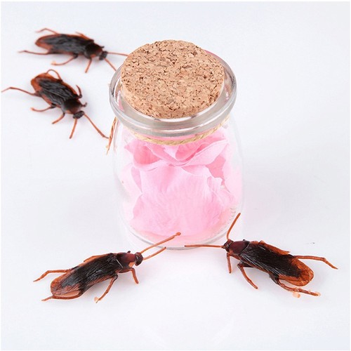 Home & Garden Amusing Prank Fake Roaches Cockroach Shape Toy Joke Lifelike Blackbeetle