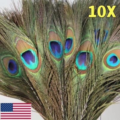 10x Peacock Tail Feathers Natural 12'' For Wedding Craft Arts DIY Home Decor USA