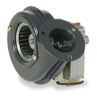 DAYTON 1TDN1 Blower,13 cfm,115V,0.29A,3394 rpm 1TDN1
