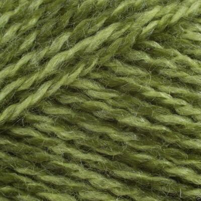 Stylecraft Extra Spécial Dk Tricot Laine Fil 100g - 1124 Greengage