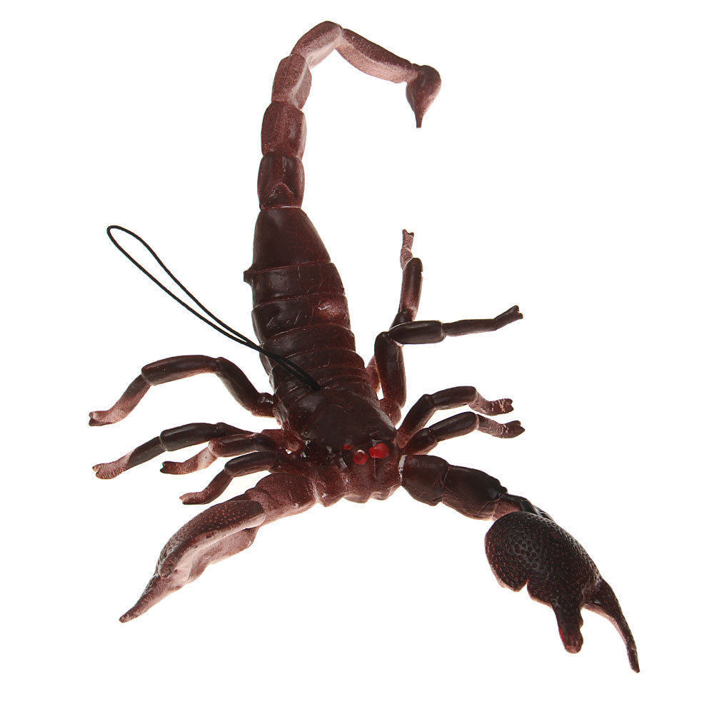 Halloween Party Gags & Tricks