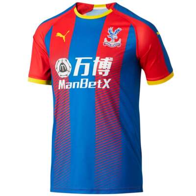 

Футболка мужская синяя повседневная Puma Home Soccer 927534-01, Синий, Puma Home Soccer Shirt