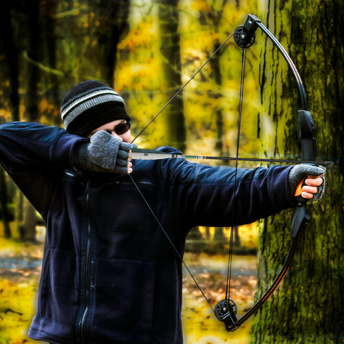 12Pcs 33inch Carbon Hunting Arrows Archery Target Arrows with 5" Turkey Feathers