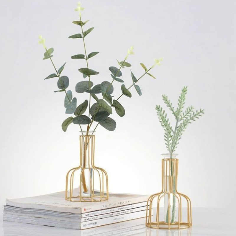2Pcs Metal Frame Vases, Golden Vases with Test Tube, Hydroponic Propagation Stat