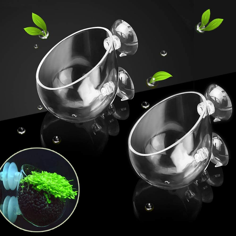 2X Crystal Glass Aquatic Plant Pot, Aquarium Aquatic Planter, Red Shrimp Live Pl