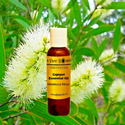 Cajeput Essential Oil - 100% Pure - Therapeutic Grade - 3ml - 1 Gallon