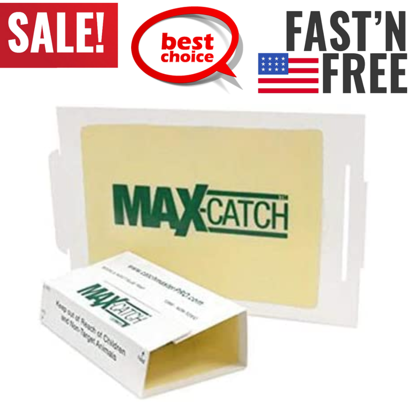 Pest Trap 36Count Glue Peanutbutter scent High Quality Durable 4 Pieces White
