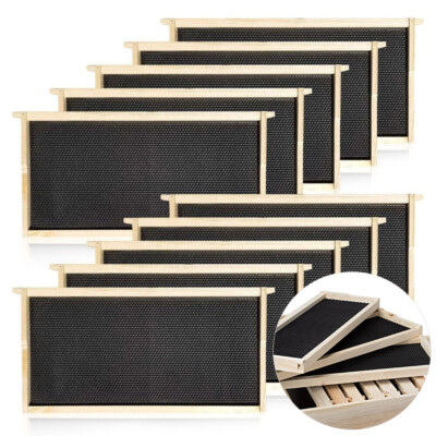 10-Pack 9-1/8-Inch Beehive Frames Bee Hive Frame Unassembled Beehive Frames