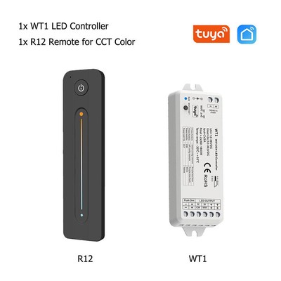 2CH WiFi Led Dimmer CCT Strip Controller Tuya Smart Life APP Alexa Voice Control