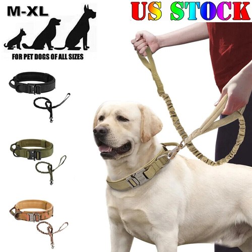 レトリバー $_12.JPG?set_id=880000500F