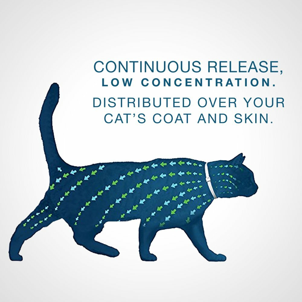 Bayer Seresto Flea and Tick Collar for Cats, Continuous Flea and Tick Protection