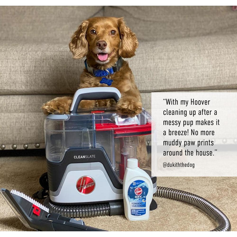 Cleanslate Pro Portable Carpet and Upholstery Spot Cleaner Suction Stain Removal