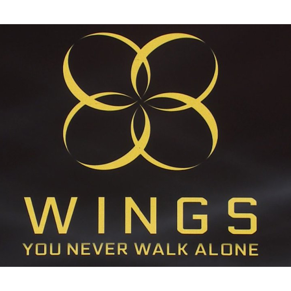 4 Photocards Set Gift Album Folded Poster Left Version Bangtan Boys Bts You Never Walk Alone