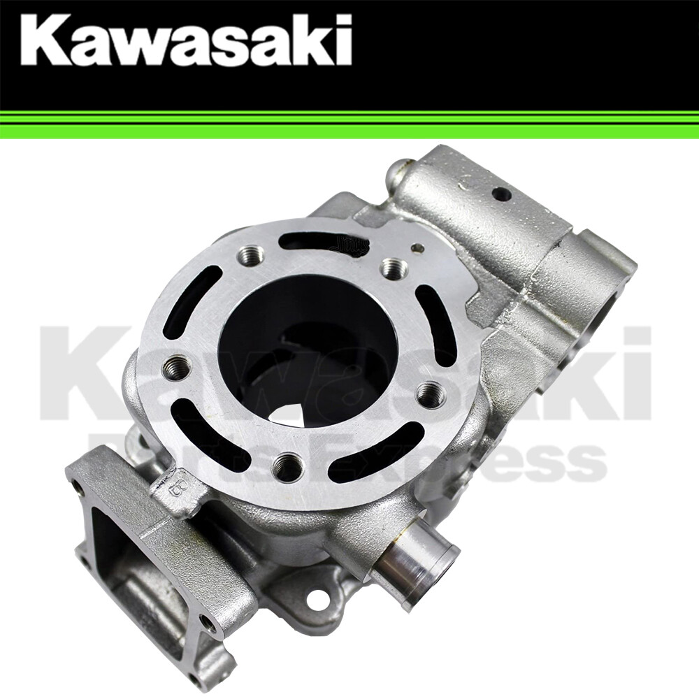 NEW 2006 - 2013 GENUINE KAWASAKI KX85 KX 85 ENGINE CYLINDER