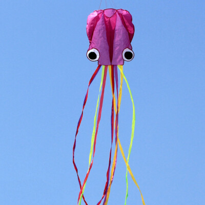 NEW 4m single Line Stunt RURPLE color tail Octopus POWER Sortware kite Sports