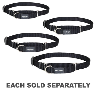 Dingo hotsell dog collar