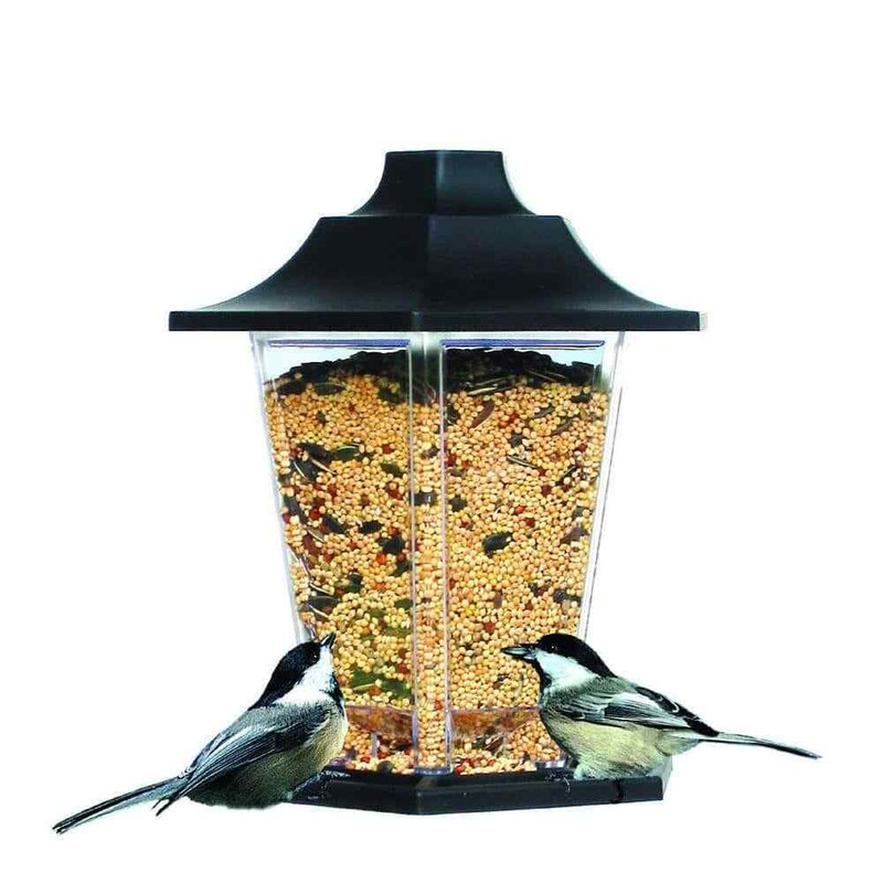 Carriage Hanging Bird Feeder: 1.5 lb. Capacity, Outdoor Bird Feeding Station