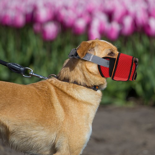 Mesh Dog Muzzle to Prevent Eating Biting Nylon Adjustable w/ Overhead
