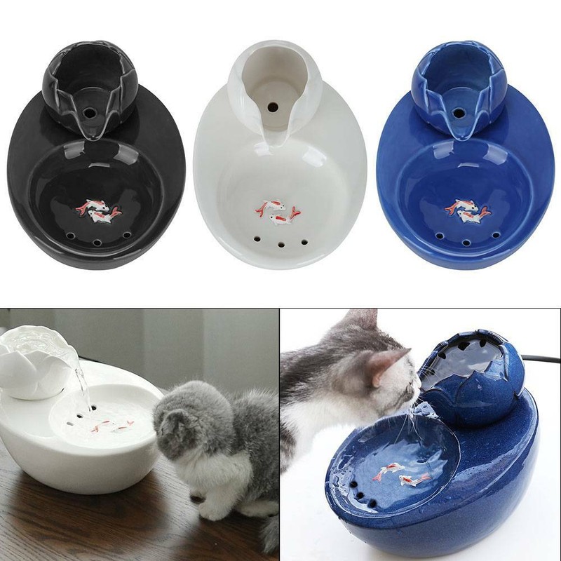 trinkbrunnen f�r katzen test