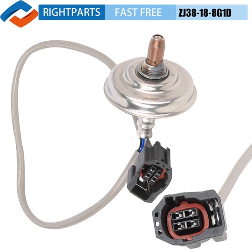 8.Piroska Mayerさん専用 H280b4c1424be42cd976862fe2563a