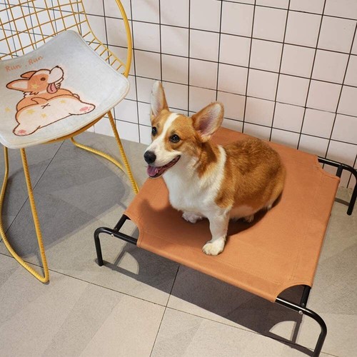 Outdoor Indoor Elevated Pet Cot Small Dog Cats Durable Comfo