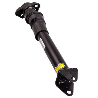 Rear Air Suspension Shock Absorber for Mercedes R-Class W251 V251 2513201431