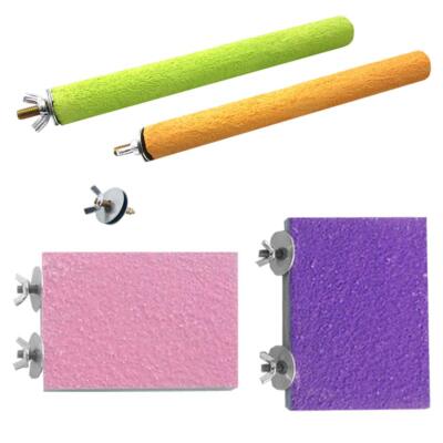 Colorful Bird Perch Stand Birdcage Toys Natural Wood Platform and Paw Grinding