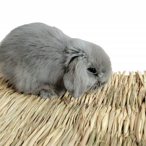 Grass Mat,Woven Bed Mat for Small Animal,Bunny Bedding Nest Chew Toy Bed Play of