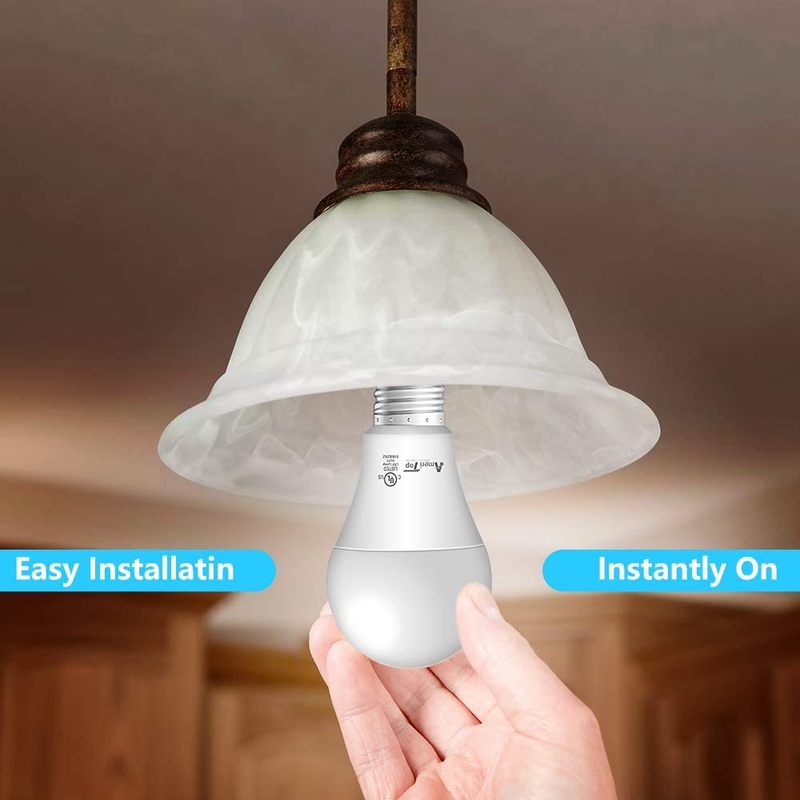 A19 LED Light Bulbs - 6 Pack, 14W, 1600 Lumens