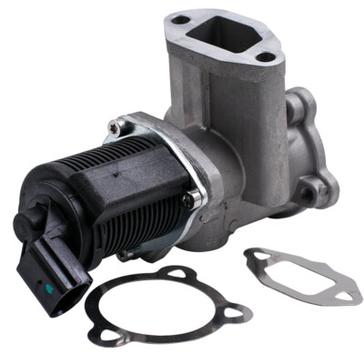 AGR-Ventil Abgasrückführventil für Fiat 500 Doblo Idea Panda Punto 1.3 D JTD