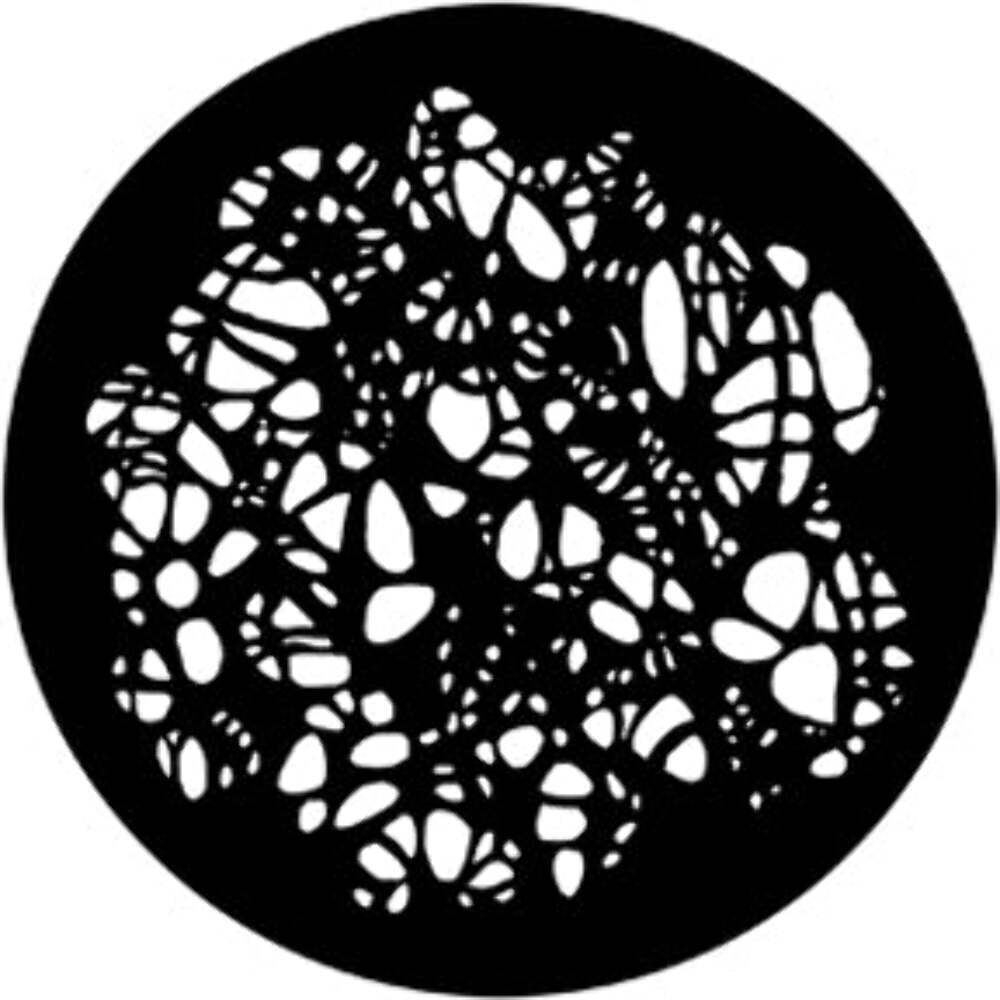 Web