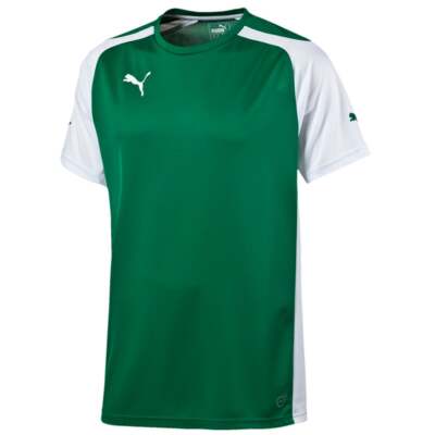 

Футболка Puma Speed с круглым вырезом и короткими рукавами для мальчиков, размер  701906-05-Y, Зеленый, Puma Speed Crew Neck Short Sleeve Soccer Jersey Youth