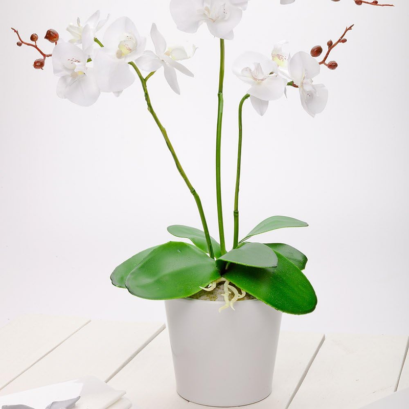 -5.5 X 19 Inch Artificial Orchid, 1 Potted Fake Orchid - 12 Blooms, Use as Table Centerpieces, Home Decor, or Office Decor, White Plastic Faux Orchid, for Weddings or Parties