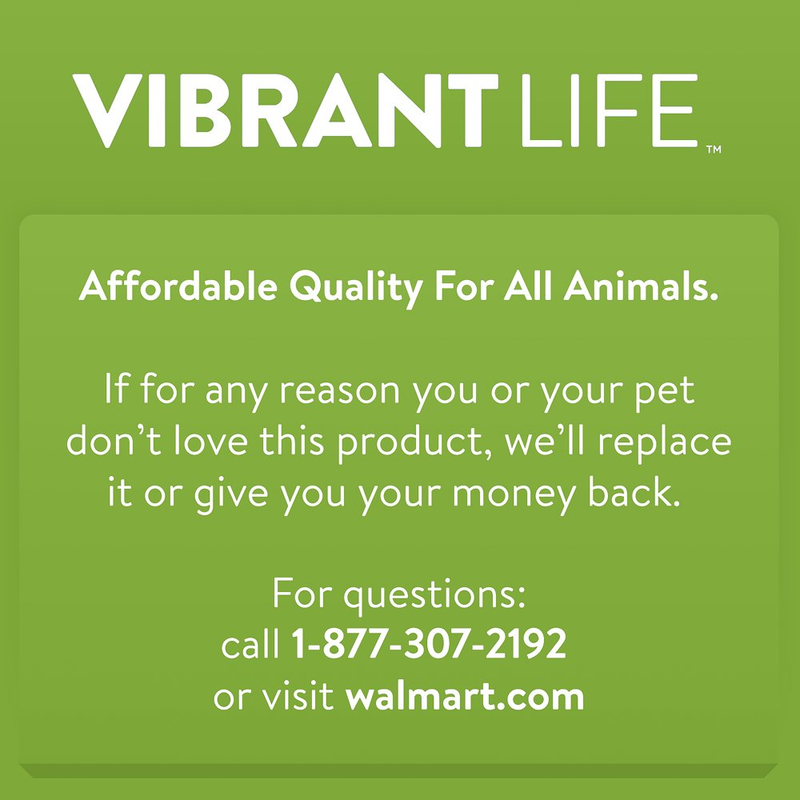 Vibrant Life Jumbo Melamine Cat Litter Scoop