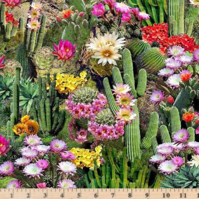 Desert Dreams Multi Cactus Flowers Bloom Fabric WEST-CD1 By Half Yard Increments