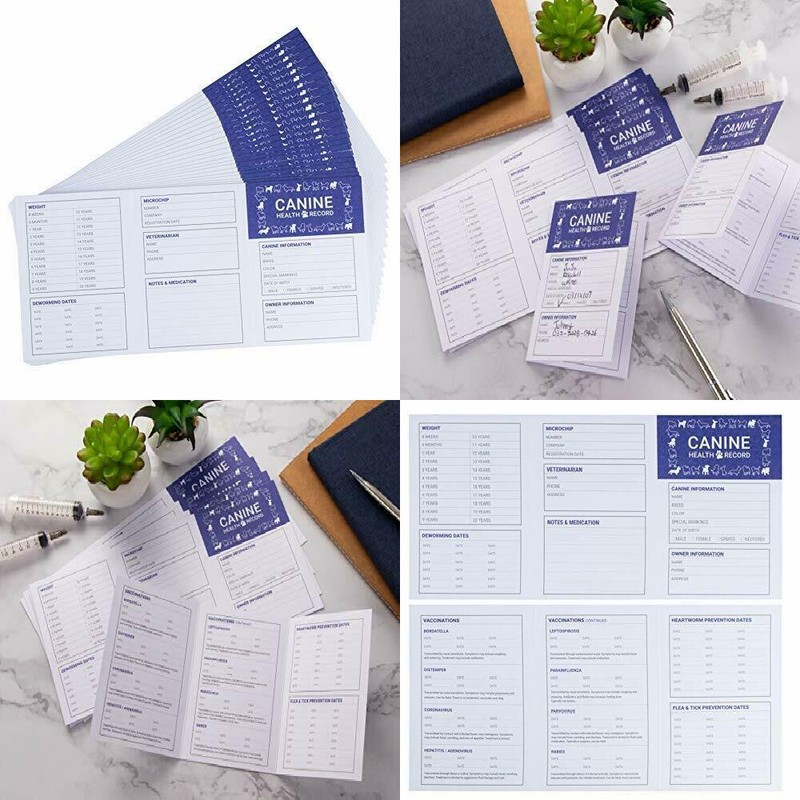 Mandatory vaccination for covid-19 in the philippines argumentative essay image