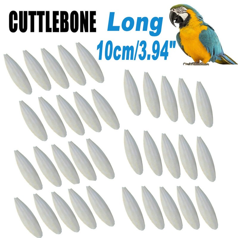 Cuttlebone 3.94" Long Cuttlefish Bone Sepia Cuttle Fish Bird BEST