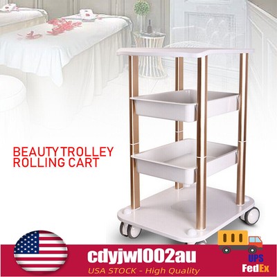 Double-layer Multi-functional Rack Rolling Cart SPA Mobile Trolley Holder Stand