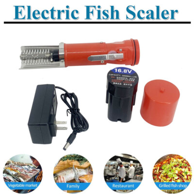 Universal Electric Fish Scale Scraper Scaler Clean Brush Remover for Kitchen Use