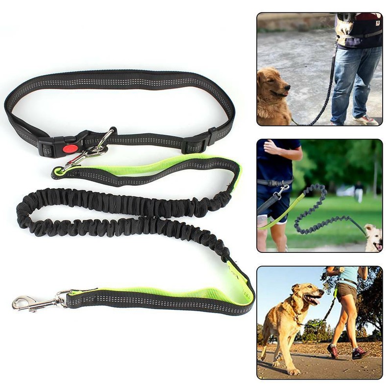 Hundeleine Joggingleine mit Bauchgurt Laufen Jogginggurt zum Joggen mit Hund 