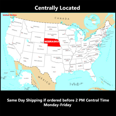 Air Tank Assembly Kit 4 ft Hose 0-200 PSI Gauge 1/4" NPT Tire Chuck GRIP 10351