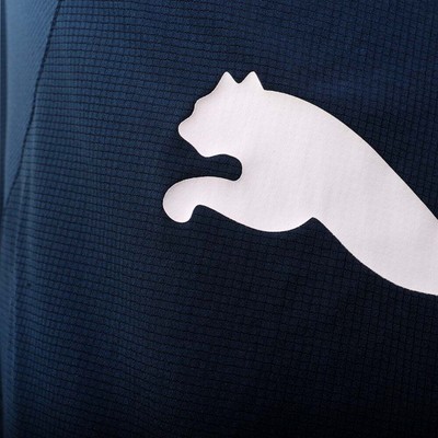 

Puma Cat Shorts Мужские синие повседневные спортивные штаны 58627874, Синий, Puma Cat Shorts