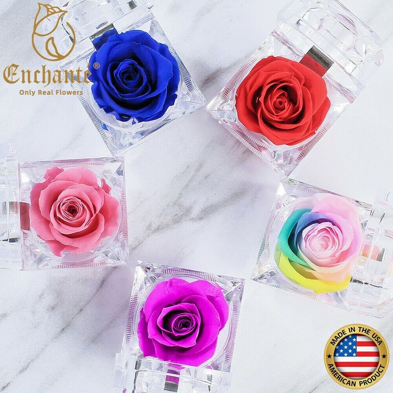REAL Preserved Eternity Forever Rose Ring Box Proposal Valentine's Day